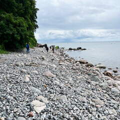 24-07-02 12-32-16 0107